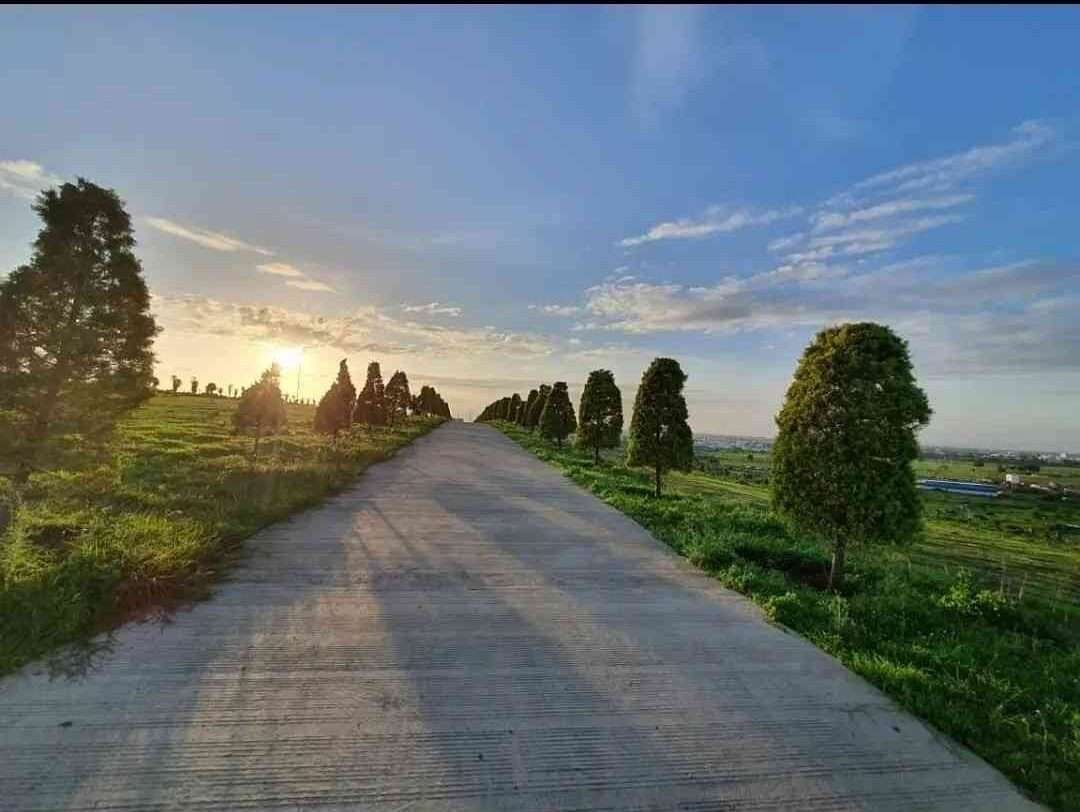 Chinar Hills - A scenic hilltop spot for romantic moments in Indore.