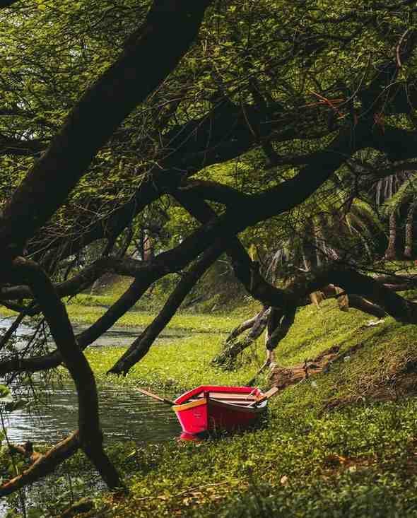 Lotus Valley Recreation Area - A beautiful lotus valley perfect for couples and romance.