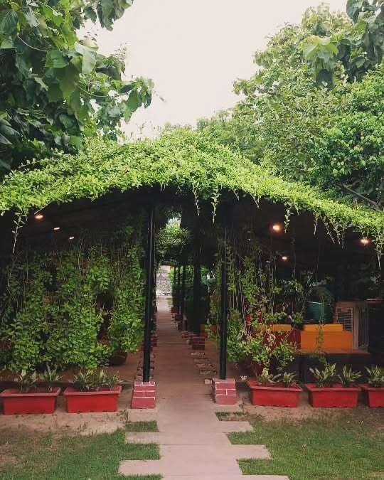 TeaQuila Cafe and Bistro - A riverside cafe for couples near Assi Ghat, Varanasi.