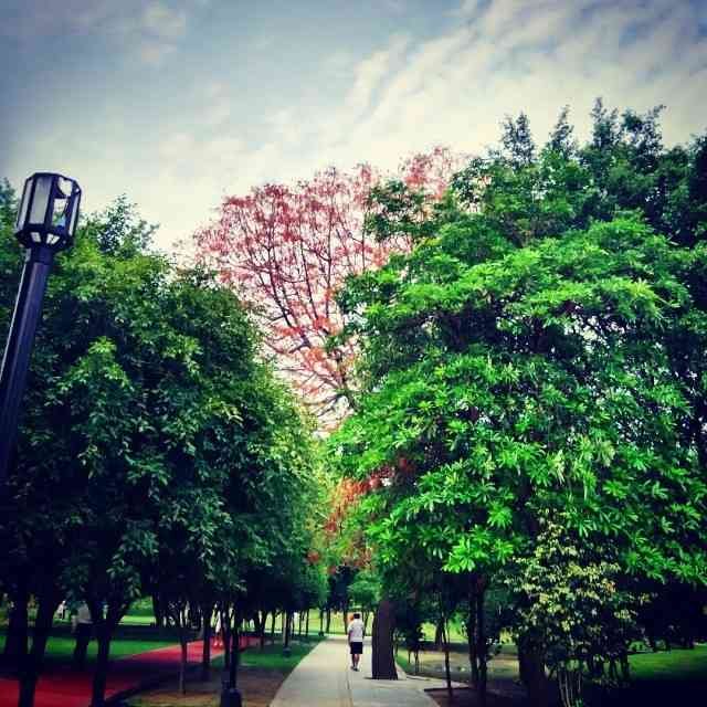 Dr. Ram Manohar Lohia Park - A serene botanical haven with peaceful walking trails perfect for couples in Gomti Nagar.