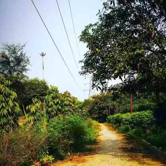 Jogger's Park - The famous 'Lovers Park' of Lucknow offering private spaces and shaded walkways for couples.