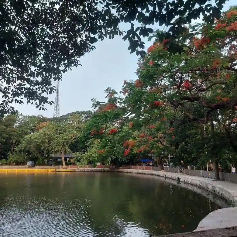 Tala Jheel Park - A peaceful North Kolkata gem for romantic evenings.