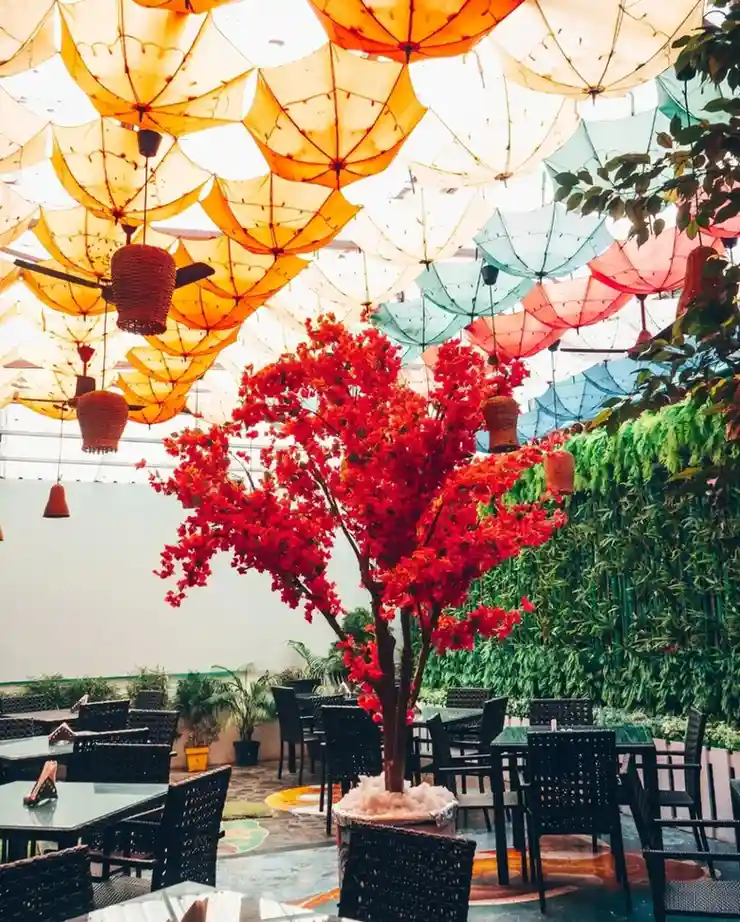 The Garden - Tasty food and good variety with great ambiance and nice arrangements for birthday celebrations.