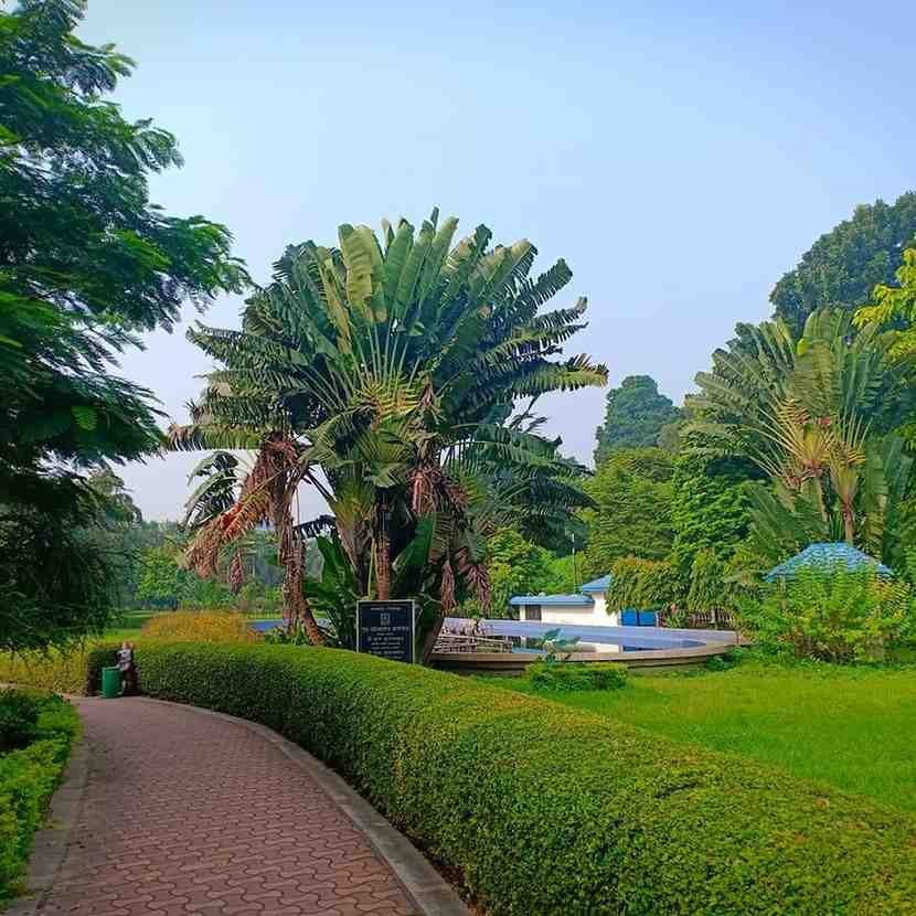 Mohar Kunja - A park with romantic, free views of Victoria Memorial.