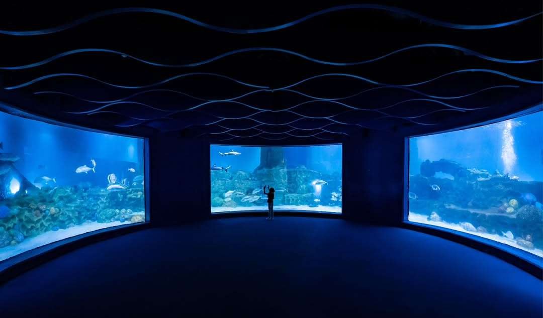 VGP Marine Kingdom - A mesmerizing underwater world experience.