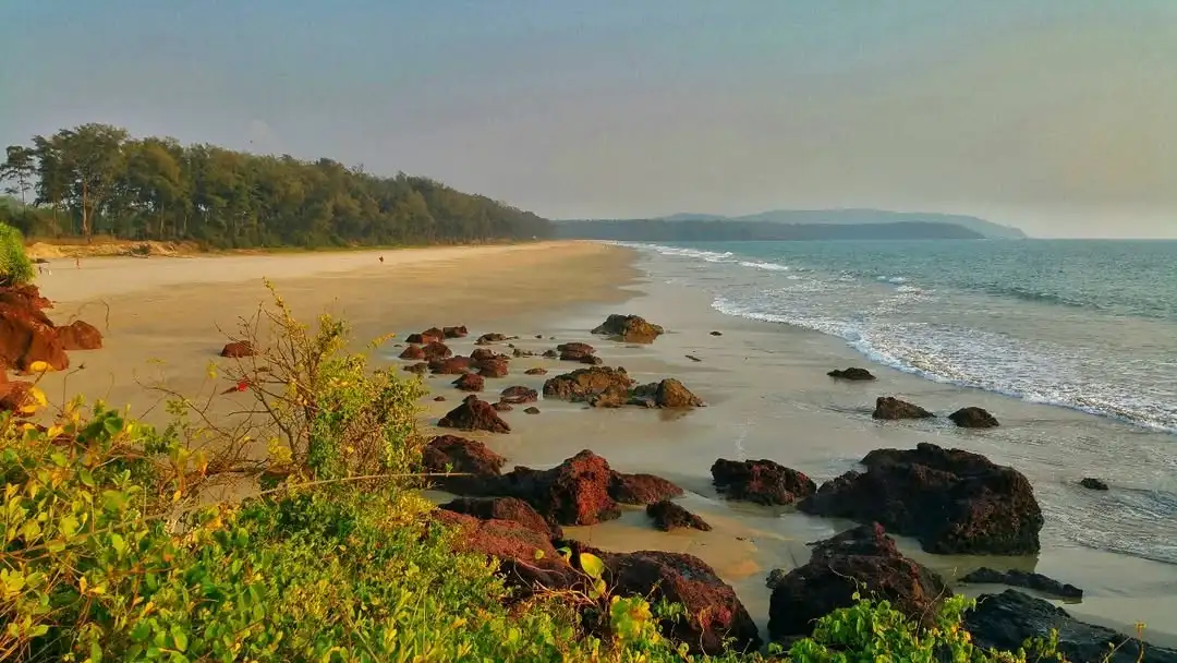 Galgibaga Beach - A quiet, pristine beach known for olive turtle nesting.