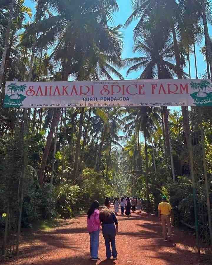 Sahakari Spice Farm - A guided tour of a beautiful spice plantation with a home-style lunch.