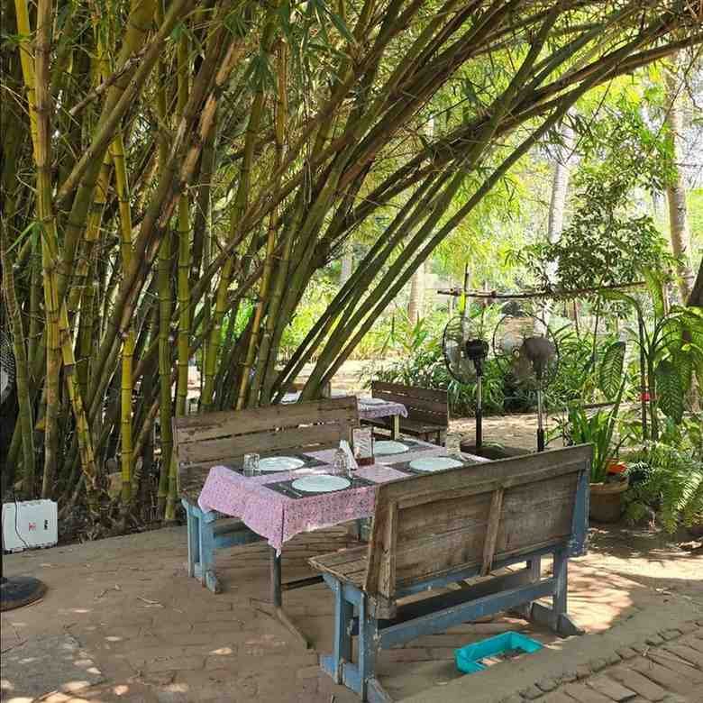 The Farm Restaurant - Rustic farm-to-table experience with open-air seating.