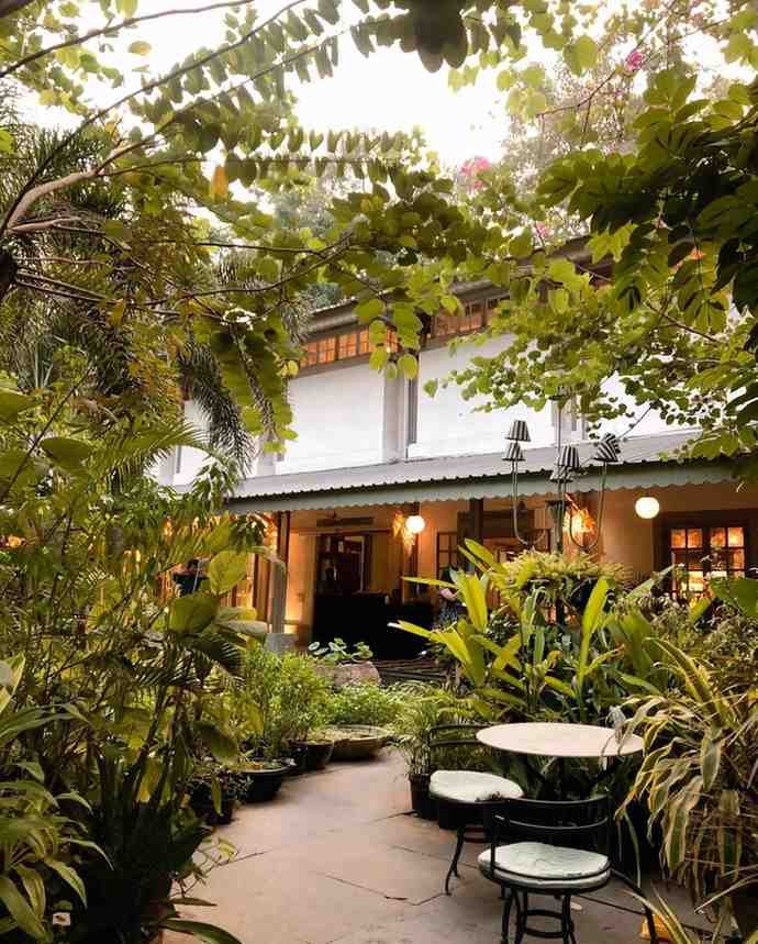 Wild Garden Cafe - A beautiful garden cafe with a romantic ambiance.